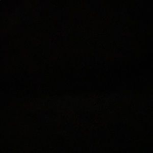 Meet your Posher, Evelyn